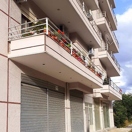 Drini Apartments Permet Luaran gambar